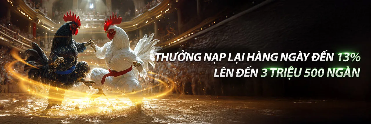 Trực tiếp đá gà CPC1 hôm nay tại XIN88